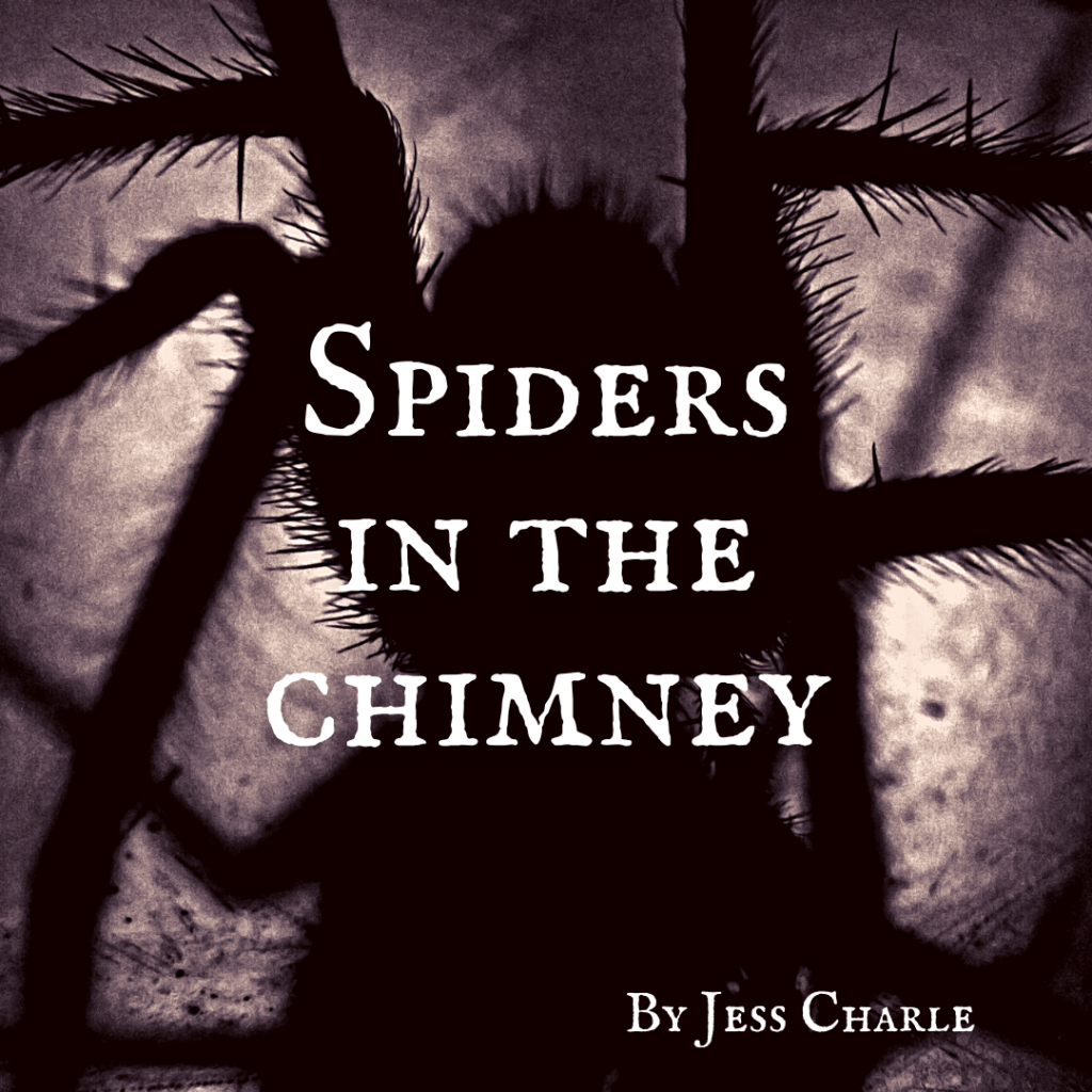 Spiders in the&nbsp;Chimney